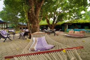 Chitwan Gaida Lodge - Animal Lovers & Birdwatchers Paradise, Sauraha