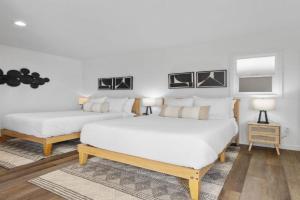 South O Bungalow 7 - Premium Double Studio + Patio, Carlsbad