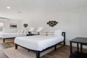 South O Bungalow 12 - Deluxe Double ADA Studio+XL Private Patio, Carlsbad