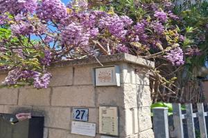 Casa dei glicini, Follonica