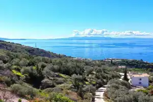 Villa Marius 074, Ceparo