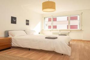 Central Studio Apartment with freeCard - Picasso, Basel