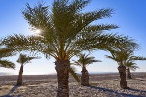 Costa Blanca Holiday Rental Tamarit Beach II Guest house, Santa Pola