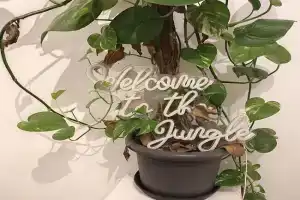 Jungle in for 4 Persons 24 h check in Apartments, Kelkheim