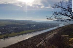 Vacation home Moselsteg Apartments, Brauneberg