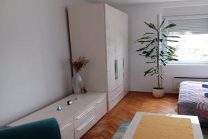 Apartman Klinički Centar Niš, Nis