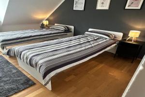 Gemütliche und zentrale 3 Zimmer-Apartment in der unmittelbaren nähe von FFM, Offenbach