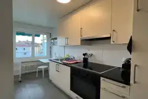 Standing Apartment in Ouchy -, Lausanne
