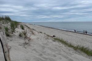 am Küstenwald Guest house, Graal-Muritz