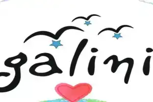 tinos galini Family's HOTEL, Tinos Town