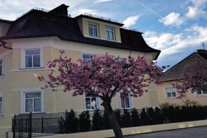 Villa Kreuzbergl - Einzelzimmer, Klagenfurt