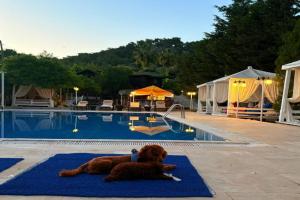 Olympos Talara by Arzum Hotel, Olympos