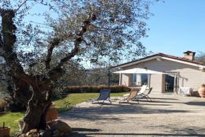 Oliveto Tuscany Guest house, Massa
