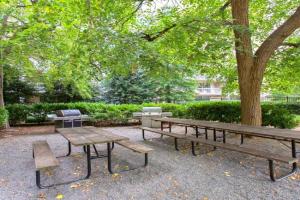This Apt is Perfect For Business Trips or a Relaxing Vacation Apartments, Washington