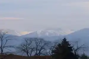 Loria's Cozy House, Telavi