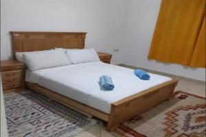 Apricot and spacious apartment, Essaouira