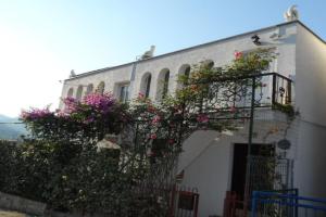 Zagradge I.N. apartments, Bar