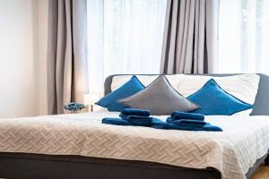 Stylish 1-Room Apartment, Magdeburg