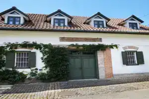 Troszt Pince Apartman, Villany