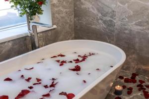 Royal apart with bathtub on Rappaporta 15, Lvov