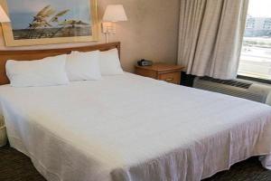 Four Sails Resort, Virginia Beach