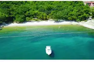 Salty Paws Guest house, Medveja