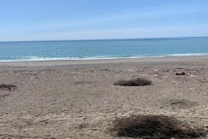 La Vela Deluxe Apartments, Giardini-Naxos