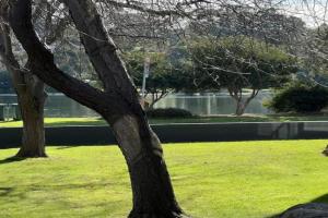 Waterfront 2-bedroom apartment with WiFi, AC in, Lakes Entrance