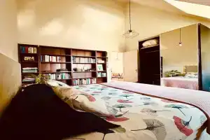 Luxurious stay with zen atmosphere in Zurenborg Guest house, Antwerp