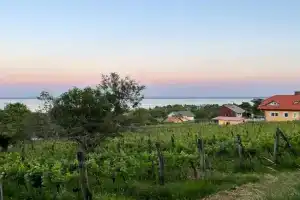 Villa Bellevue, Balatongyorok