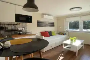 Salubris Apartman, Harkany