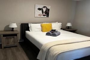 1 Bedroom wBalcony near UNM, Nob Hill downtown, Albuquerque