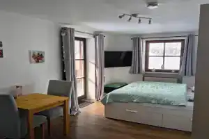 Apartment Blueberry Pool Sauna Netflix WIFI YoutubePremium, Zwiesel
