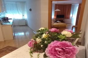 Favorite apartment, Heviz