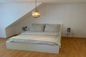 OneFlats near Wasen, Mahle, Daimler, Bosch Apartments, Stuttgart