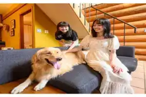 Fiore - Vacation STAY 25656v Hotel, Shima