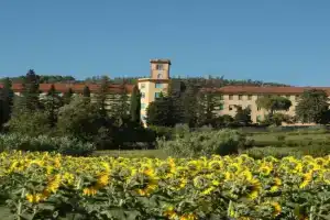 Casa Lux Mundi, Lucca