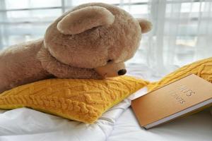熊梦 Bear story Guest house 5min aeons2 4r3b 12PAX, Seremban