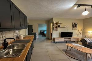 Dolphin Apartment, Stalis