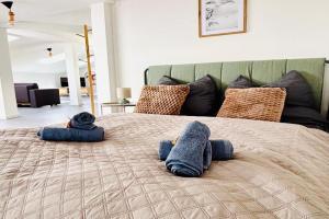 SH-Apartments-Stilvolles Studio in der Altstadt, Erfurt
