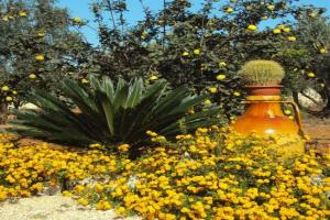 Casale in Villa Salentina vicino Porto Cesareo, Copertino