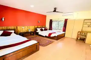 Chitwan Safari Resort, Sauraha