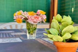 361 Apartment, Ardea