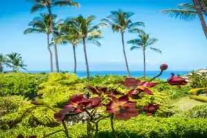 Wailea Ekolu 1705 by Coldwell Banker Island Vacations Apartments, Wailea