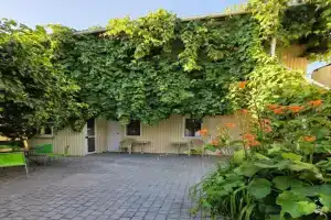 Amio more Guest house, Chornomorske