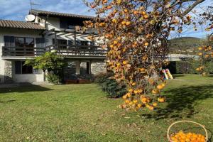 Casa Vittorio, Pettenasco