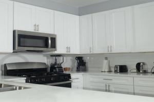 Shared, spacious condo near UChicago and Obama Center Guest house, Chicago
