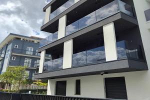 Monkey house, Riccione