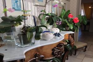 Panoramic & Exclusive Suite Apartments, Enna