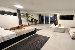 Modern Unit with Ocean View - Studio 1, Komarna